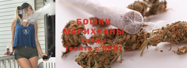 дмт Арсеньев