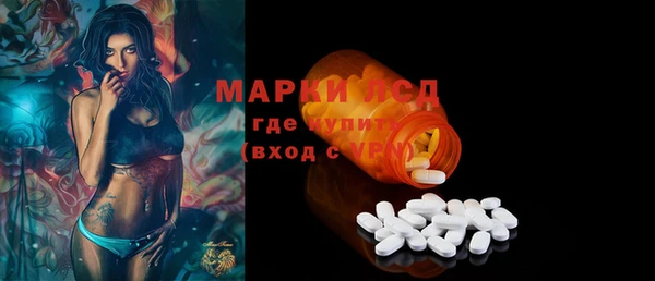 ГАЛЛЮЦИНОГЕННЫЕ ГРИБЫ Аркадак