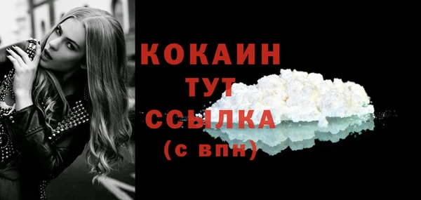 дмт Арсеньев