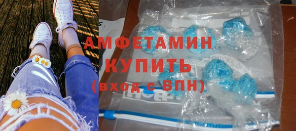 ГАЛЛЮЦИНОГЕННЫЕ ГРИБЫ Аркадак