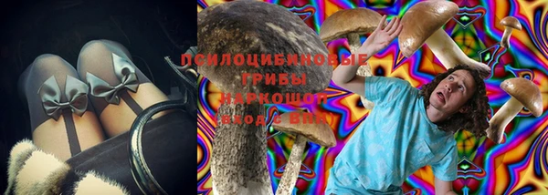 дмт Арсеньев