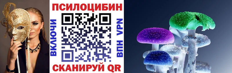 Псилоцибиновые грибы MAGIC MUSHROOMS  Нововоронеж 