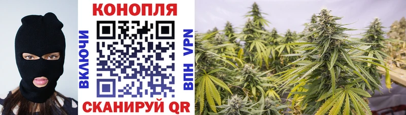 Шишки марихуана White Widow  магазин  наркотиков  Нововоронеж 